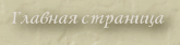 Главная страница